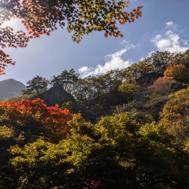 Beautiful Autumn View Naejangsan Park