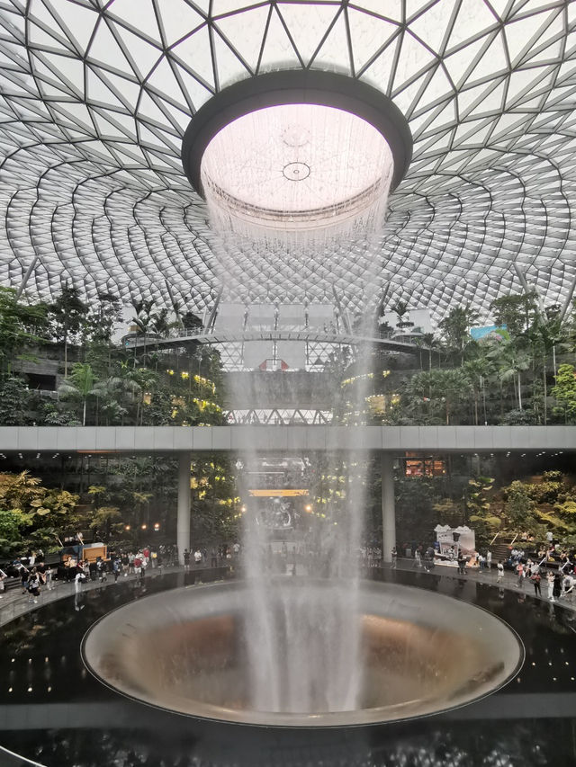 Nature theme airport