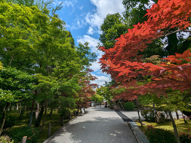 日本京都-古寺池水映秋色的賞楓名所：永觀堂