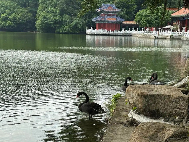  圓明新園：穿越時空，再現皇家園林的輝煌