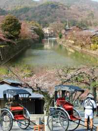  Spring Serenity Along the Katsura River