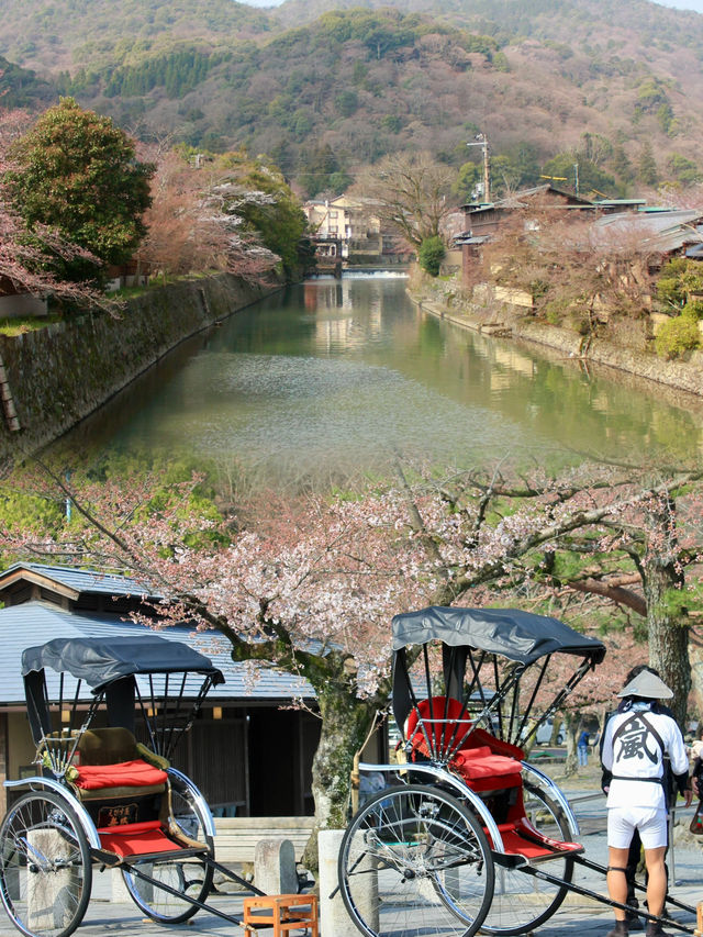  Spring Serenity Along the Katsura River