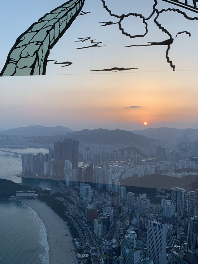 Elevate Your Senses: A Sky-High Adventure at Busan X the Sky