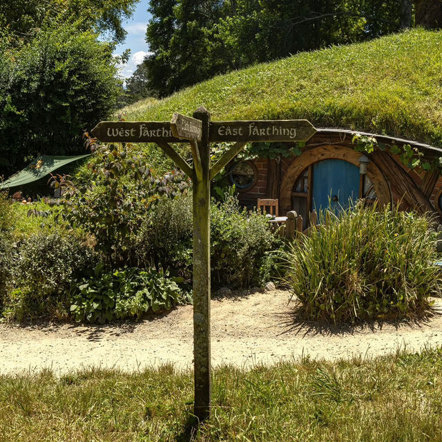 A Magical Journey into Middle-earth