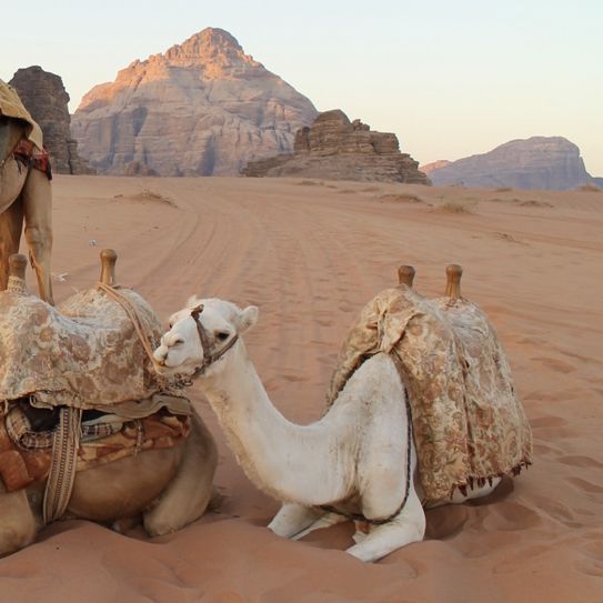 Watching the Sunset at Wadi Rum