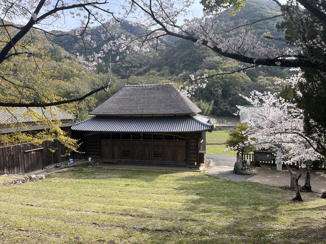 Japan's Kagawa 🌿 Shodoshima Island 🧹 discovers a dreamy paradise.