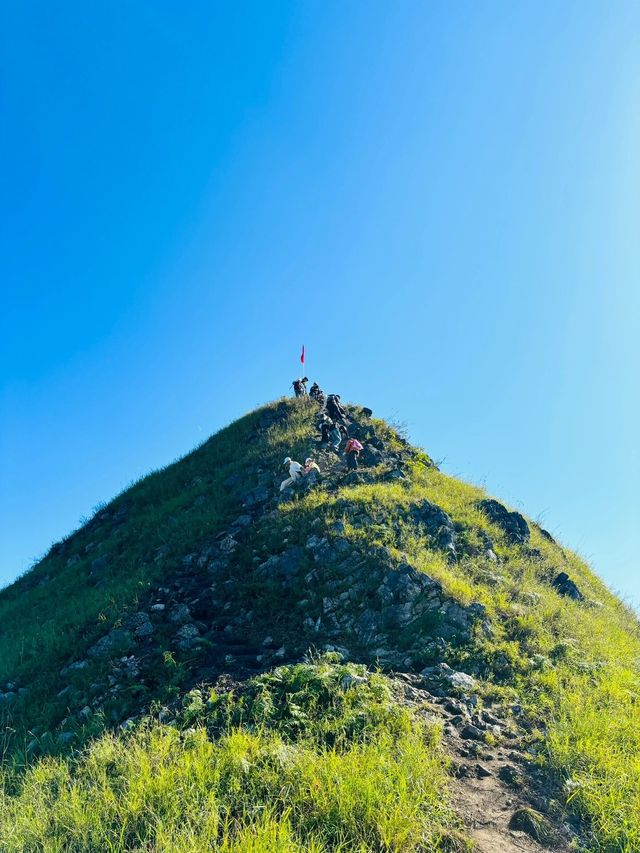 真的不是新疆廣西的山上草原