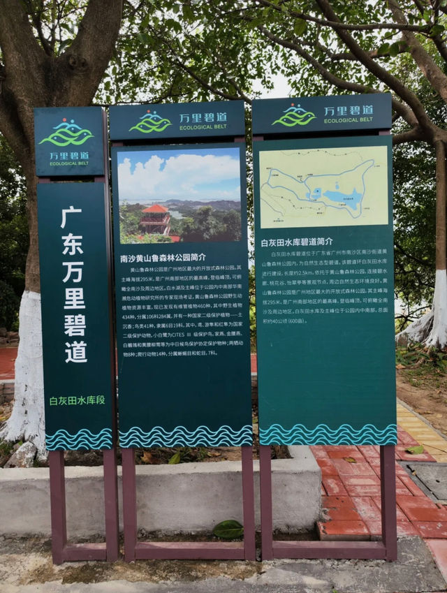 南沙蒲州花園，你還沒去過嘛？