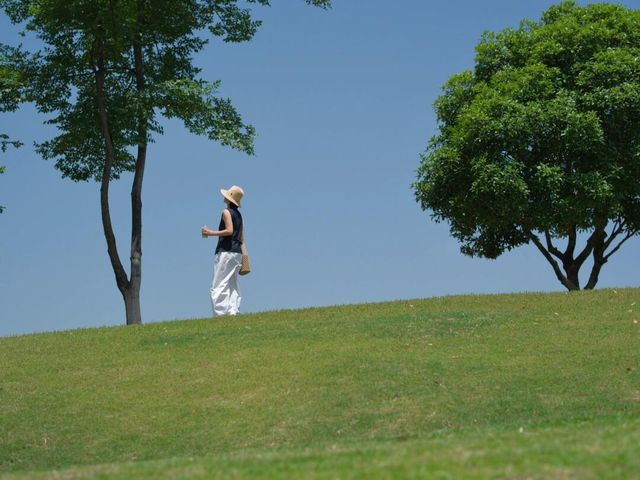 謝子龍新機位夏天的綠五分鐘拍了100張