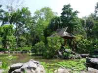 熱帶植物園·樹木園——精緻的樹木王國。