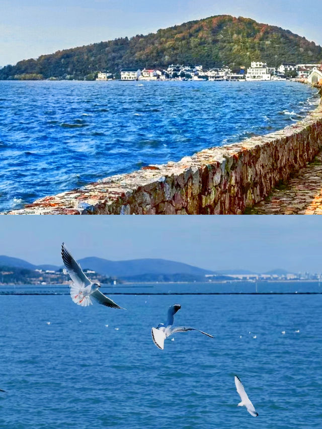 周末去邊度好！蘇州秋遊！太湖西山島食住玩！！。