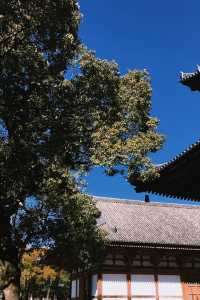 京都西本願寺｜淨土真宗本願寺派總本山。