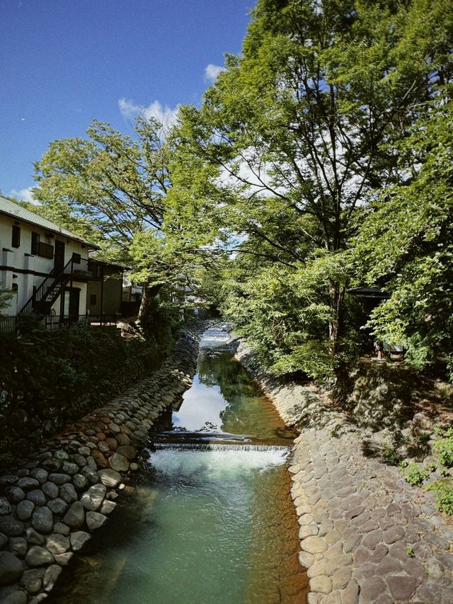 日本3日遊 朋友圈都羨慕哭了。