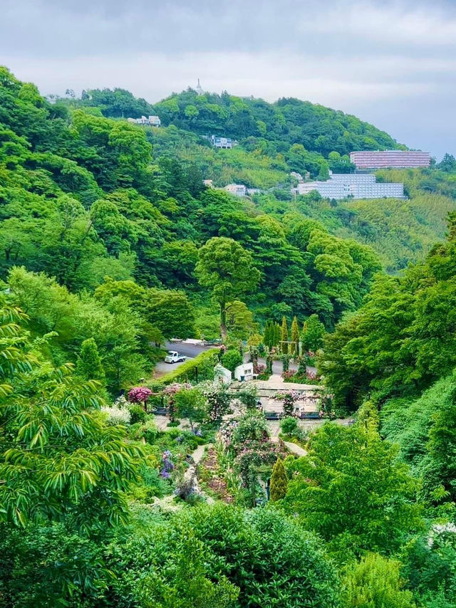 A garden in Atami