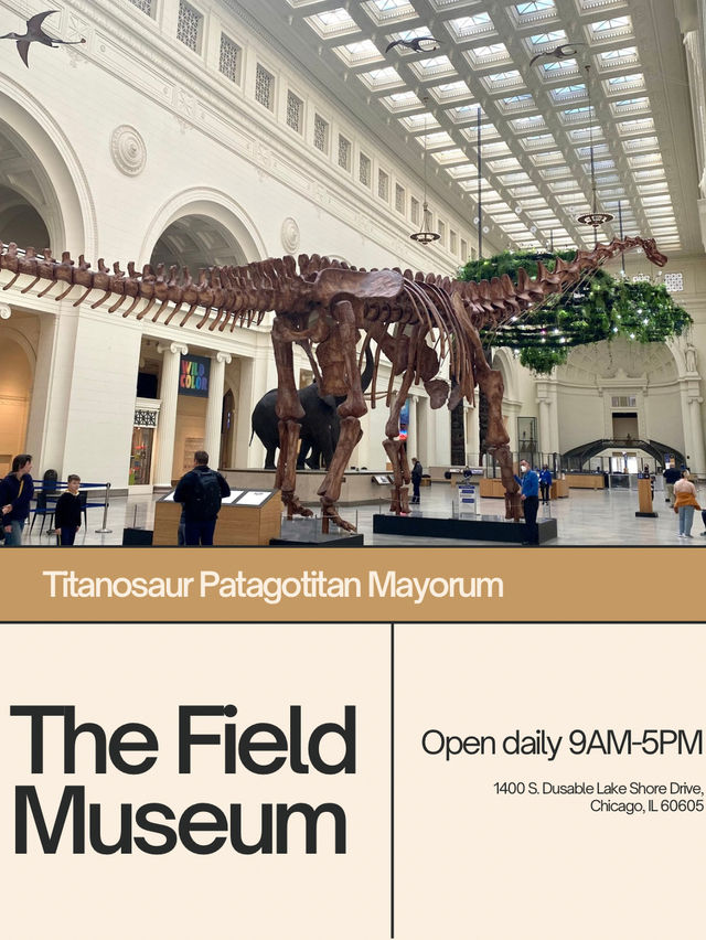 Meet the largest Dinosaur in Chicago 