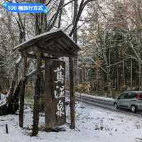 賞楓途中遇到雪！白雪覆蓋的夢幻蔦溫泉