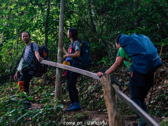 สิ่งที่ต้องเตรียมเวลาไปเดินป่าในไทย 