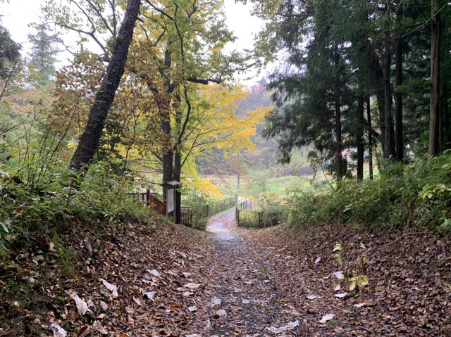 平泉世界遺産　金鶏山