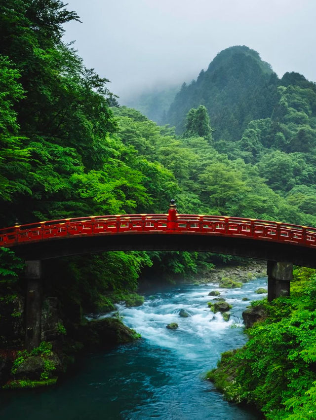 Top 5 Must-See Destinations in Japan🇯🇵