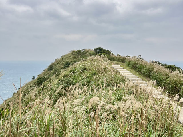 新北 360度環山景海景清幽步道⛰️