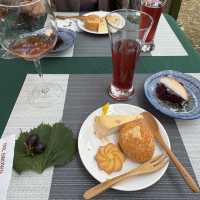 Grape picking with afternoon tea