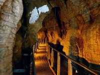 A Magical Journey Through Waitomo Glowworm Caves