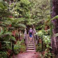 Unleashing Wonder in Abel Tasman