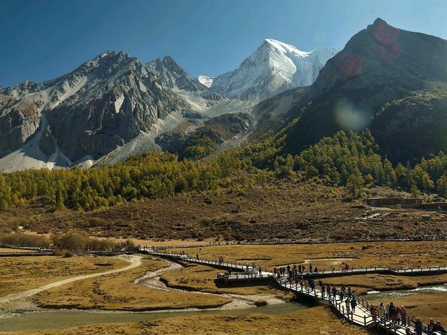 Best Autumn Viewing Experience 1/3 [Luorong Pasture, Yading Nature Reserve]