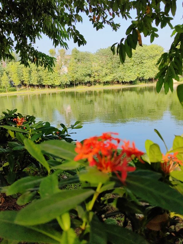 黃埔中山公園