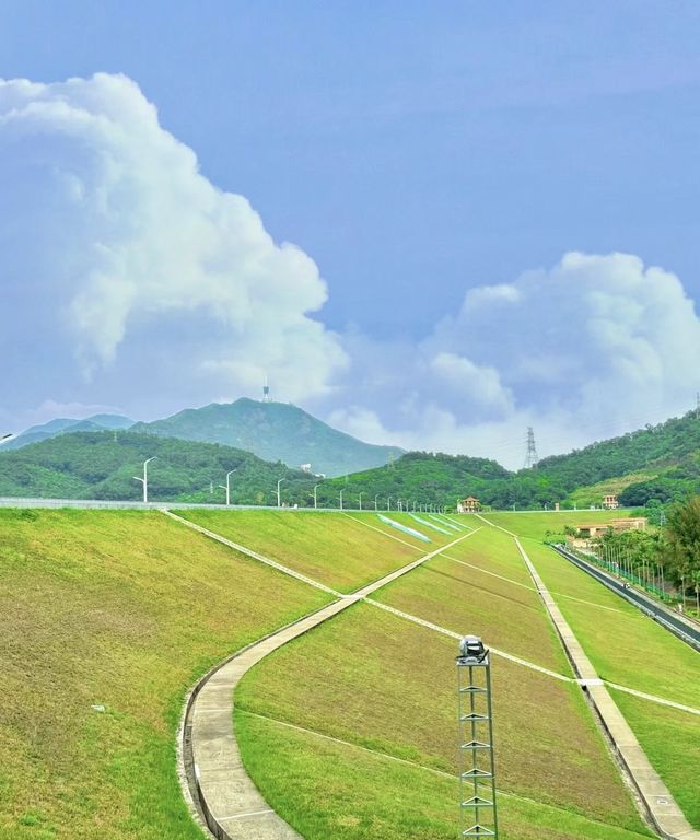 闖入宮崎駿的夏天