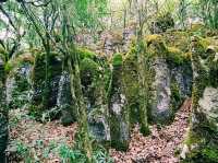 Magic Stone Forest Hiking Path