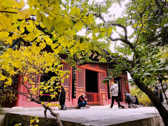 北京法源寺，無需預約，免費景點。