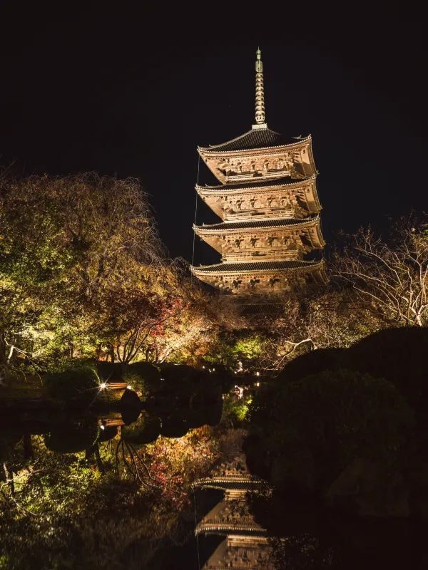 Kyoto Night Maple Viewing: A Photographer's Recommendation