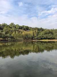 深圳蓮花山公園親子遊體驗之旅