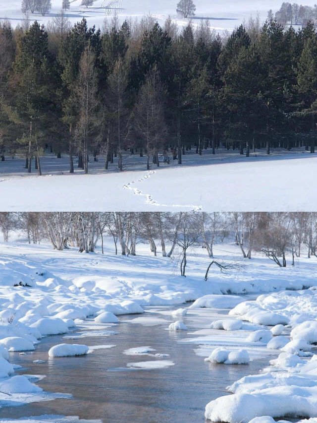 人生建議：冬天務必帶娃去趟烏蘭布統玩雪