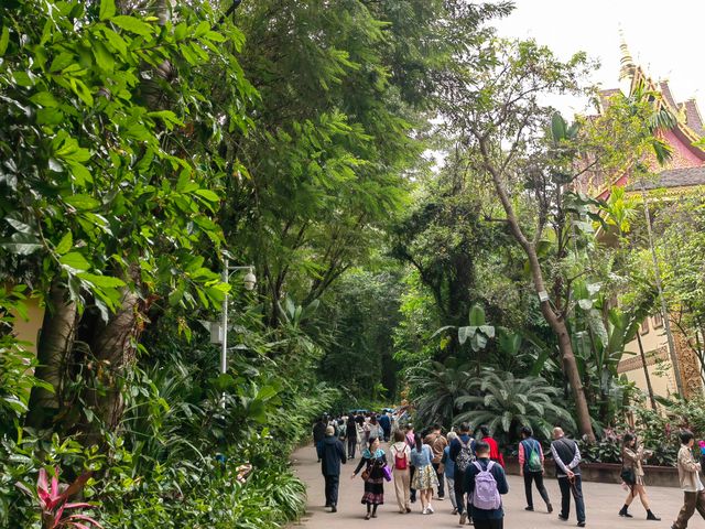 西雙版納曼聽公園