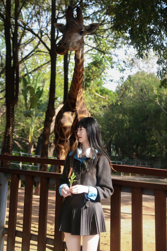 一場說走就走的野生動物之旅