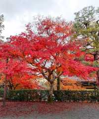 秋韻南禪寺