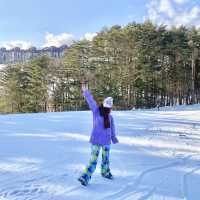 여기 알프스 아니야? 평창 알펜시아 리조트⛷️