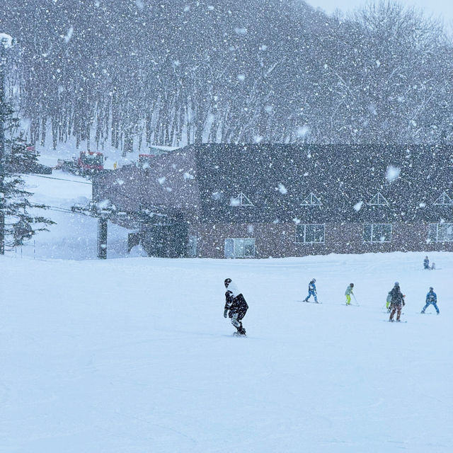 Niseko เมืองหิมะแห่งญี่ปุ่ญ