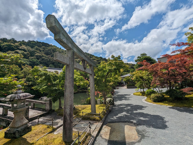 日本京都-古寺池水映秋色的賞楓名所：永觀堂