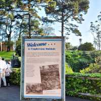 Exploring Nature’s Sunken Garden: Umpherston Sinkhole in Mount Gambier