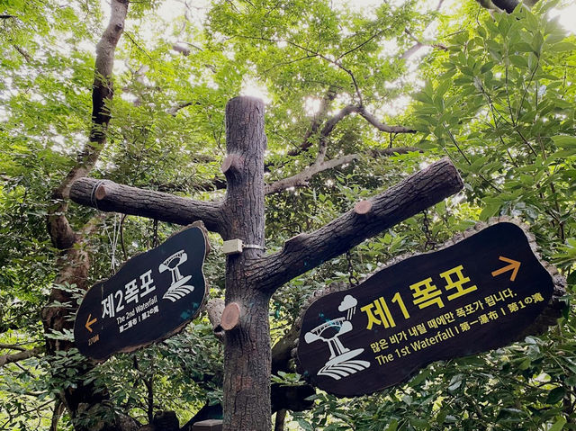 Cheonjeyeon Waterfall