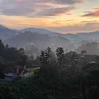 Fantastic scenic of cameron highland