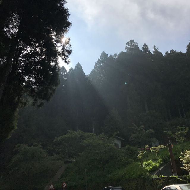 Chasing the misty sunrise on Alishan and soaking in the serenity of Sun Moon Lake