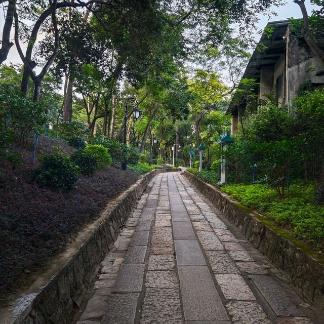 Nestled Among Greenery: The Peaceful Garden of Saad Bin Abi Waqqas Mosque