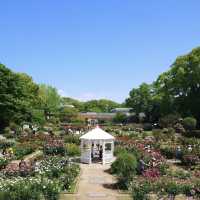 福岡市動植物園，適合約會、親子旅遊的景點