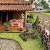 Tranquil Retreat at Rumah Dharma Villas Borobudur