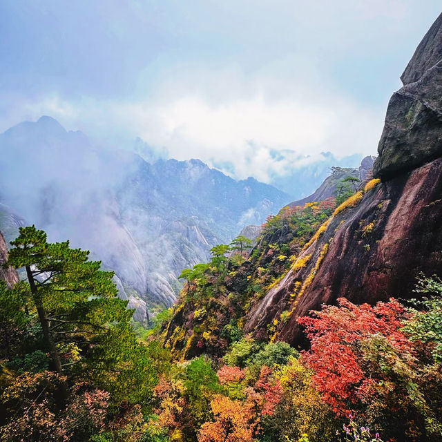 鷹峯山：雲霧秋日🏞️