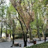 Solo Trip to Xihua National Park: A Tranquil Escape 